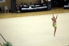 IMG_0330